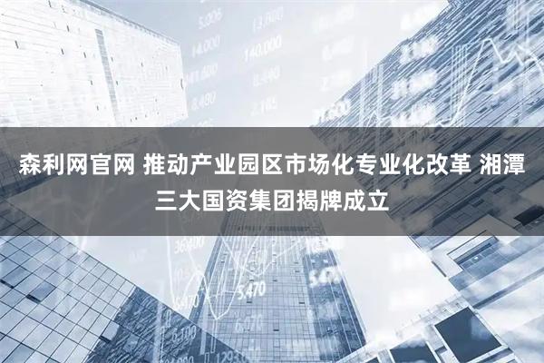 森利网官网 推动产业园区市场化专业化改革 湘潭三大国资集团揭牌成立