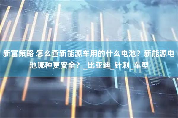 新富策略 怎么查新能源车用的什么电池？新能源电池哪种更安全？_比亚迪_针刺_车型